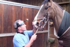 Photo of Chris Warren Photo of Chris Warren