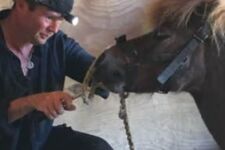 Photo of Emil Andrew Prendergast Photo of Emil Andrew Prendergast