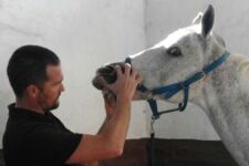 Photo of Graeme Hallgreen-Pauli Click Here for CPD Photo of Graeme Hallgreen-Pauli Click Here for CPD