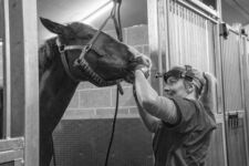 Photo of Jessica Honeyman Photo of Jessica Honeyman