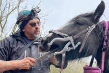 Photo of Jonathan Baxter Click Here for CPD Photo of Jonathan Baxter Click Here for CPD