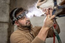 Photo of Kieran Lear Photo of Kieran Lear