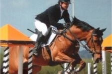 Photo of Martin Fox Click Here for CPD Photo of Martin Fox Click Here for CPD