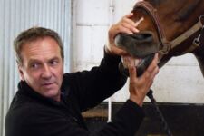 Photo of Nat Heal Click Here for CPD Photo of Nat Heal Click Here for CPD