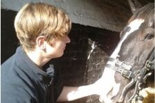 Photo of Nicholas Lawes Photo of Nicholas Lawes