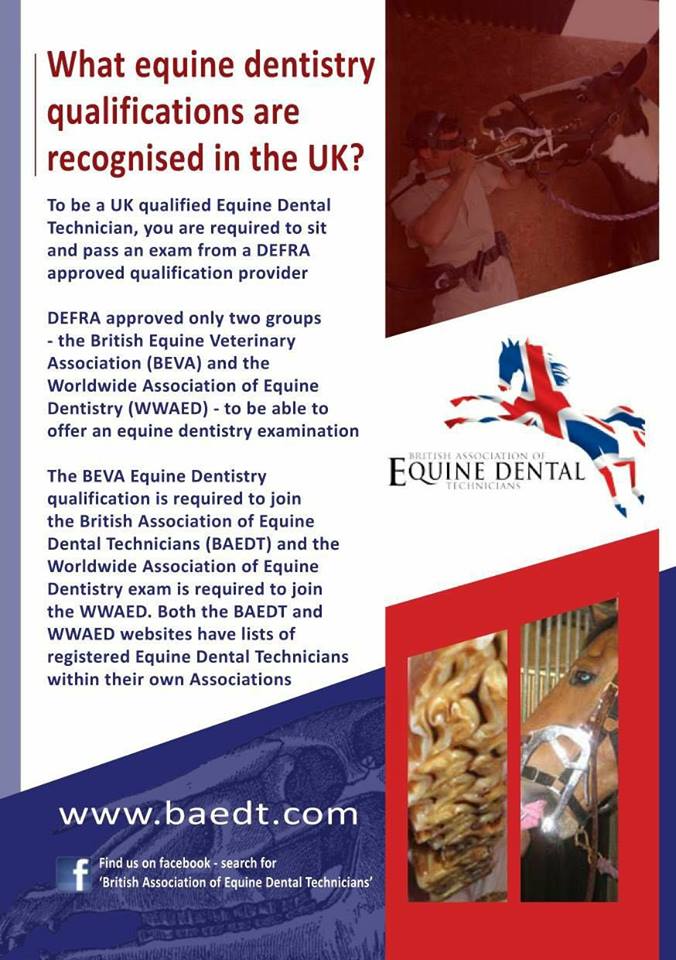 BAEDT, the equine dentistry association that you become a member of on passing the BEVA cat 2 exam acknowledges all recognised equine dentistry qualifications